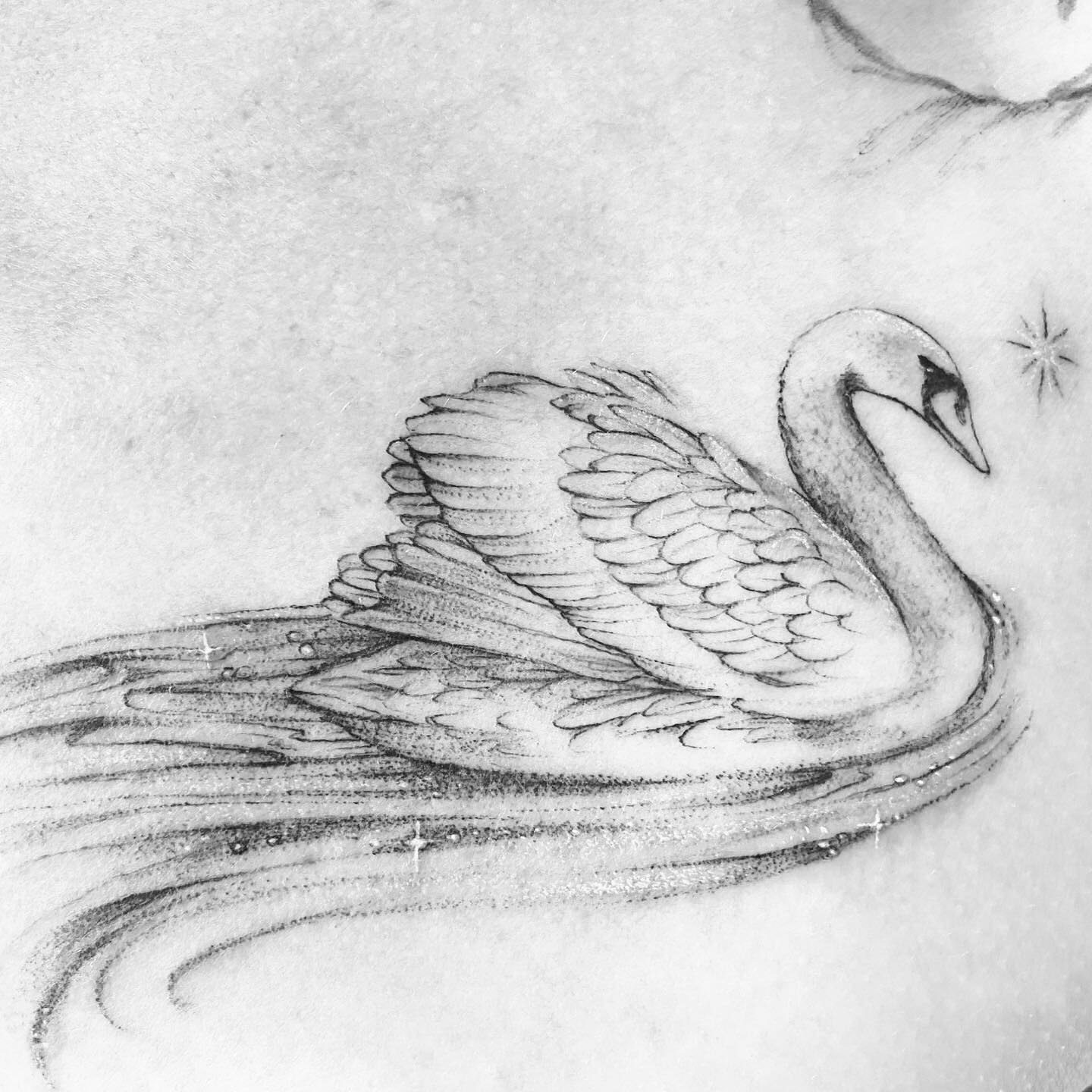 Swan tattoo black and white