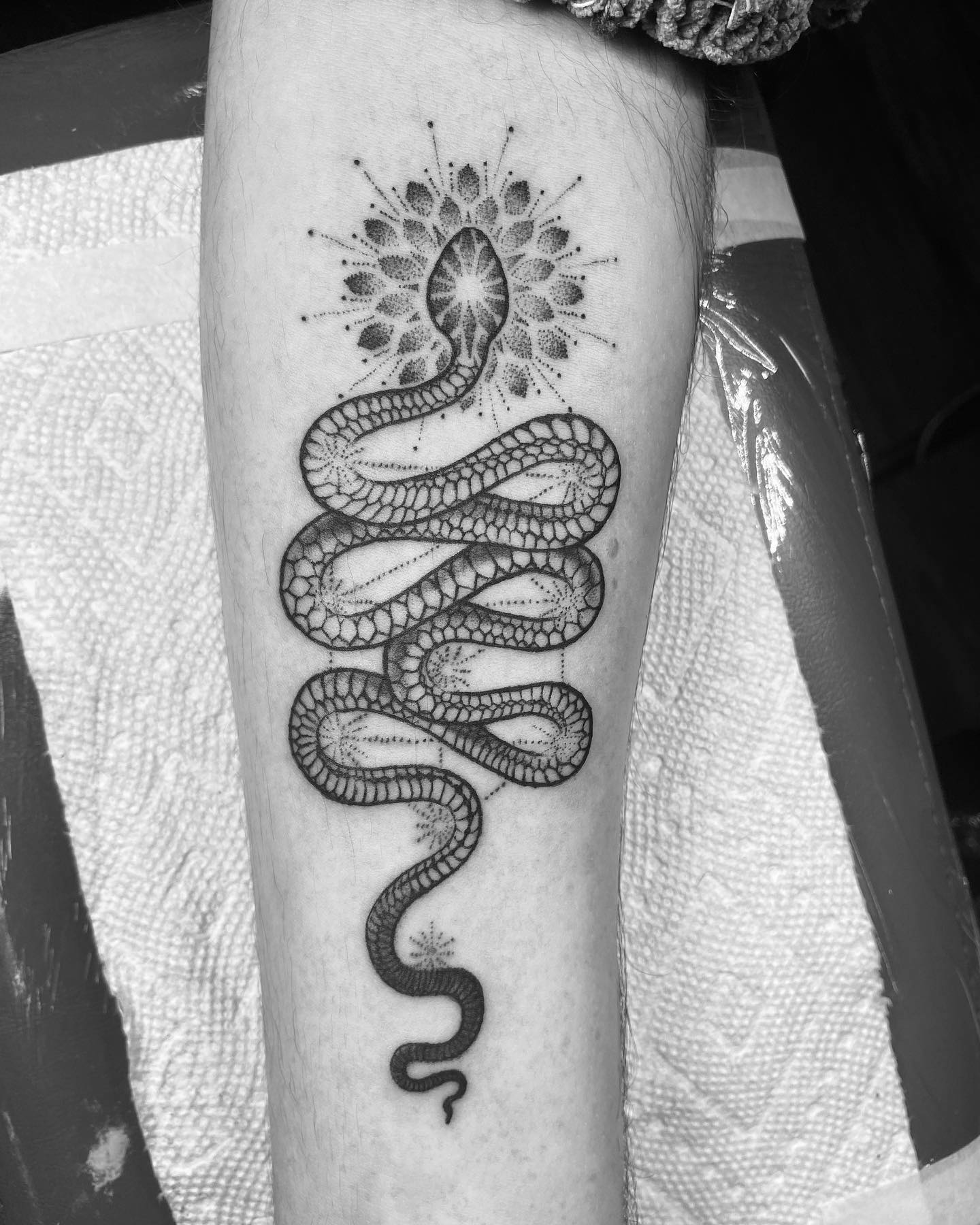 Snake tattoo Serpent with sacred geometry and Kaballah tree of life