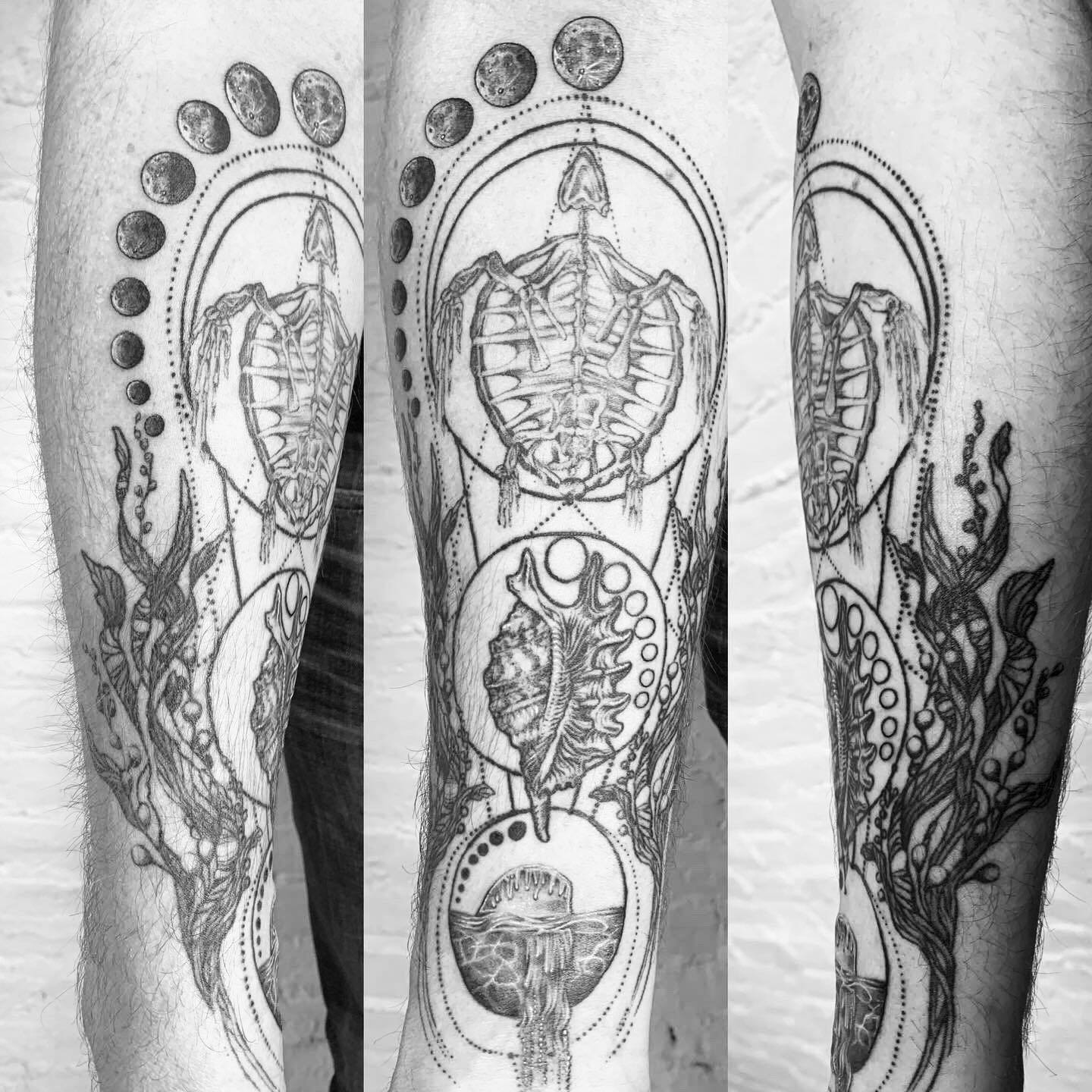 Turtle skeleton tattoo shell and bull kelp tattoo with Moon phases and sacred geometry