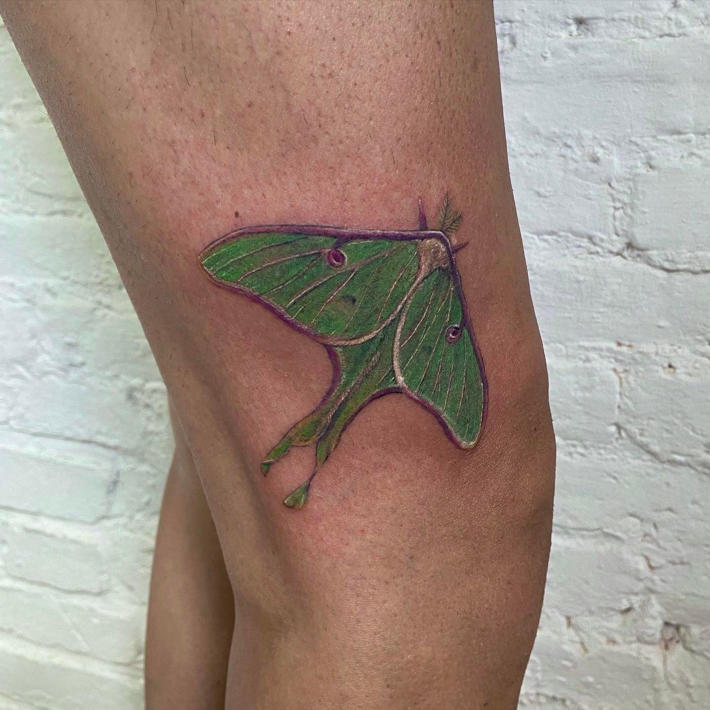 Luna moth tattoo green moth tattoo
