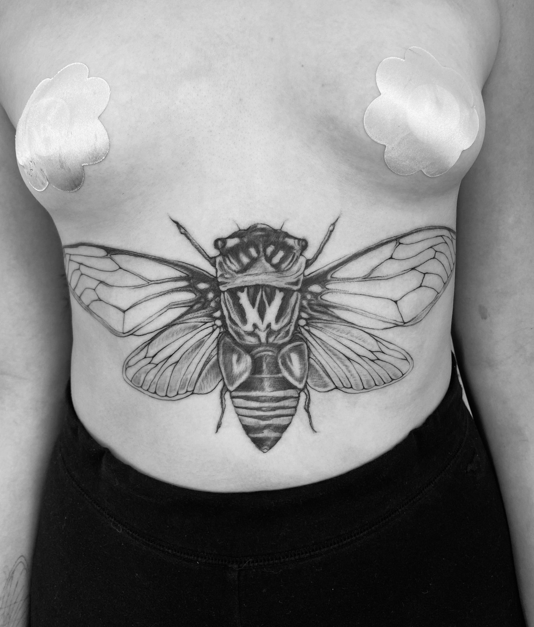 Cicada tattoo Stomach tattoo