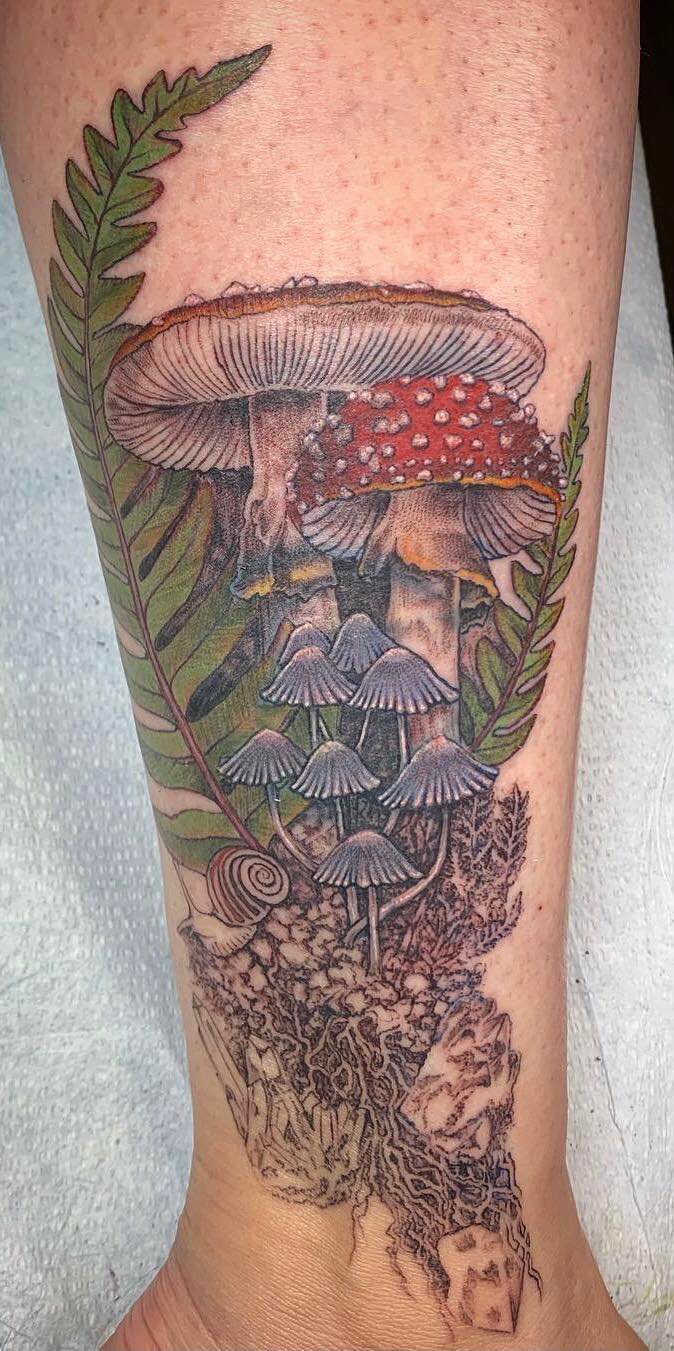 Agaricus Mushroom Fern Snail Roots Tattoo